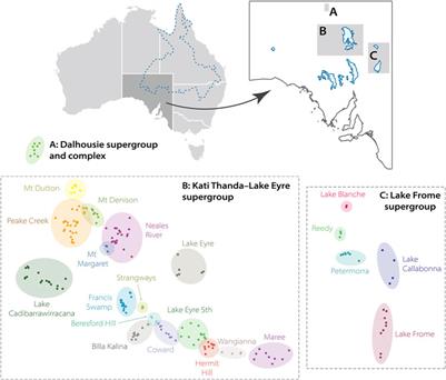 Time capsules of biodiversity: Future research directions for groundwater-dependent ecosystems of the Great Artesian Basin